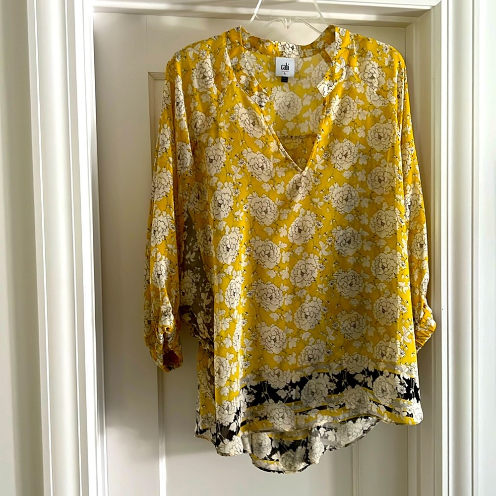 CAbi sheer blouse, never worn
